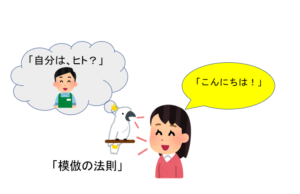 オウムの言葉を教える人のイラスト